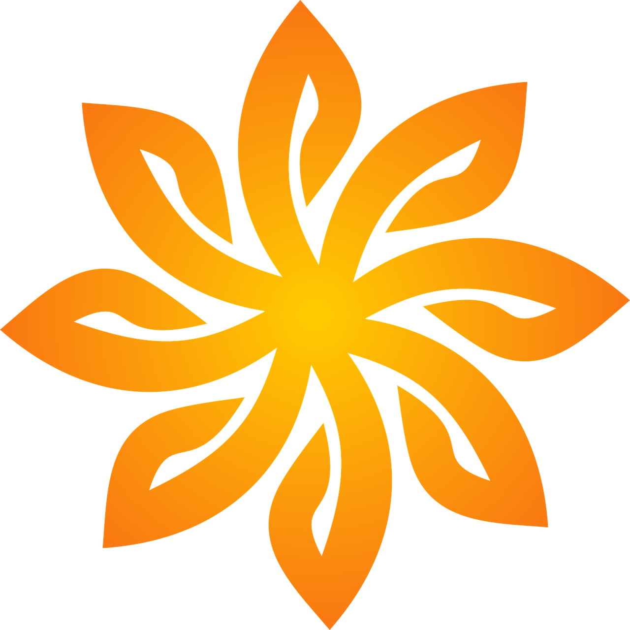 Description for Partner 8